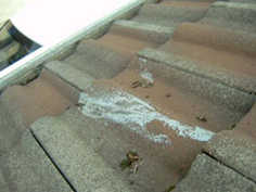 Concrete Tiles Before